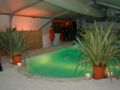 Beachparty Pool Palme