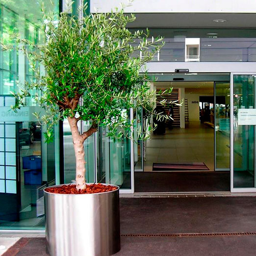 Rindenmulch M